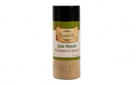 Foodaids Jain Masale Pudina Chaat  Plastic Bottle  100 grams